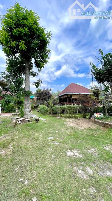 Homstay nghĩ dưỡng hơn 3000m2 view sông mát mẻ - 5