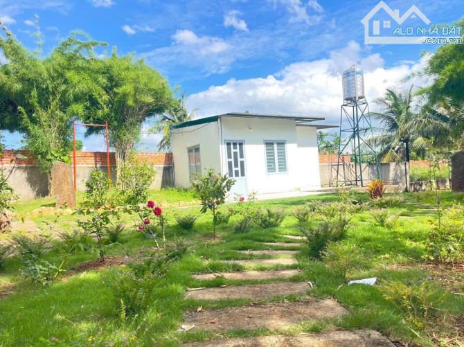 1500m2 đất + nhà vườn tuyệt đẹp tại Thôn 2, Phường Eakao - BMT - Giá cực tốt - 5