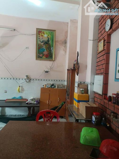 Bán đất kèm biệt thự phường An Nhơn Đông(Nhơn Hưng cũ) - 5