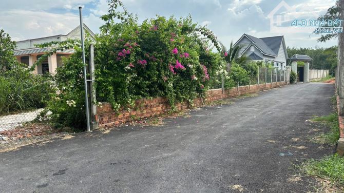 Bán đất 20x20m xã Lộc Hưng Trảng Bàng – Sổ hồng riêng, giá 1.6 tỷ đường hương lộ 2 - 5
