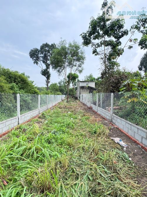 Bán Đất MT Đ. Lý Thị Chừng, Xã Phú Hoà Đông, Củ Chi, 242m², 5x49m, 2.3 Tỷ - 5