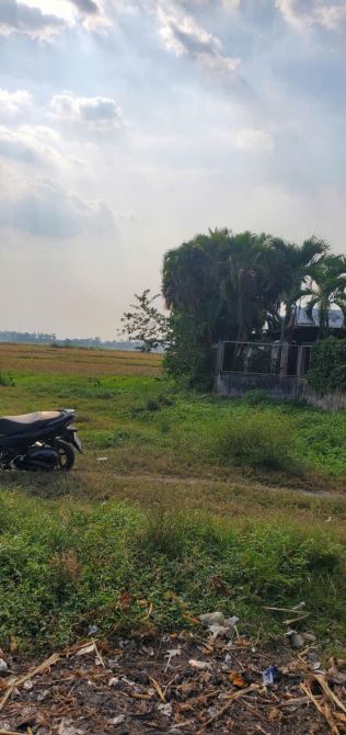 Xuân Thới Sơn (HM) bán gần 1.000m2 sẵn thổ cư ngang 17m gần Nguyễn Văn Bứa giá 10,7tỷ - 5