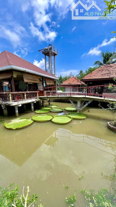 Homstay nghĩ dưỡng hơn 3000m2 view sông mát mẻ - 6