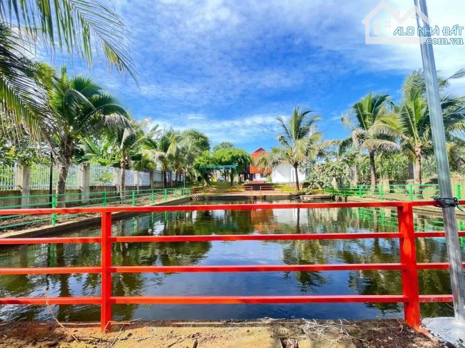 1500m2 đất + nhà vườn tuyệt đẹp tại Thôn 2, Phường Eakao - BMT - Giá cực tốt - 6