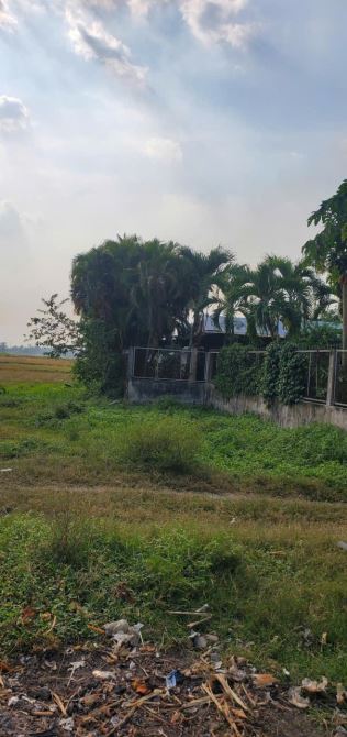 Xuân Thới Sơn (HM) bán gần 1.000m2 sẵn thổ cư ngang 17m gần Nguyễn Văn Bứa giá 10,7tỷ - 6