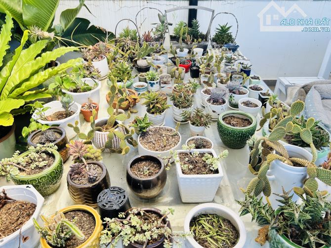 🌺 MẶT TIỀN VÕ NHƯ HƯNG - NHÀ 3 TẦNG - 3  MÊ - 4 PHÒNG NGỦ - ĐƯỜNG 5M5 , LỀ 3M - 12 TỶ 5 - 7