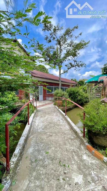 Homstay nghĩ dưỡng hơn 3000m2 view sông mát mẻ - 7