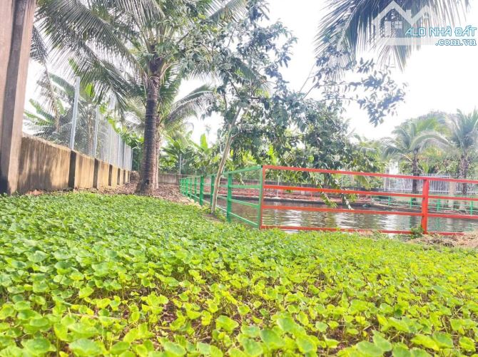 1500m2 đất + nhà vườn tuyệt đẹp tại Thôn 2, Phường Eakao - BMT - Giá cực tốt - 7