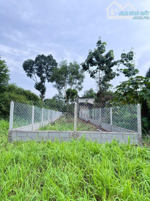 Bán Đất MT Đ. Lý Thị Chừng, Xã Phú Hoà Đông, Củ Chi, 242m², 5x49m, 2.3 Tỷ - 7