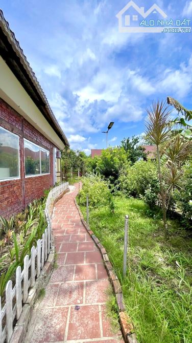 Homstay nghĩ dưỡng hơn 3000m2 view sông mát mẻ - 8