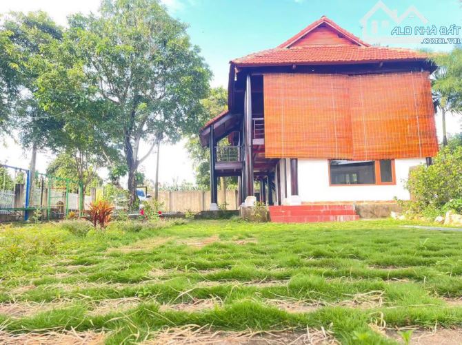 1500m2 đất + nhà vườn tuyệt đẹp tại Thôn 2, Phường Eakao - BMT - Giá cực tốt - 8