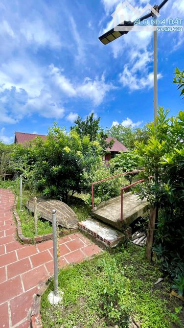 Homstay nghĩ dưỡng hơn 3000m2 view sông mát mẻ - 9
