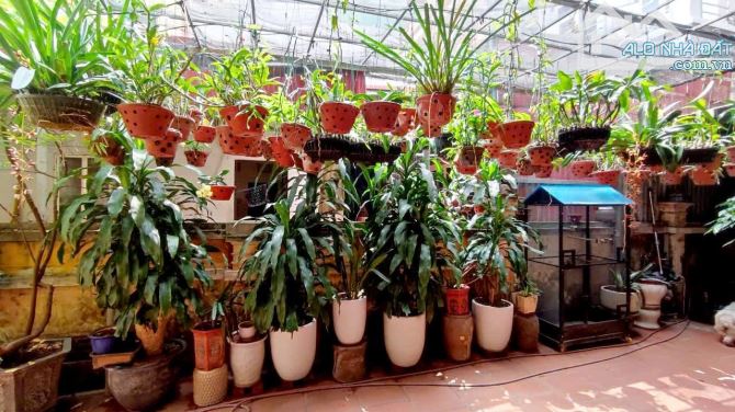 💥 GIÁ ĐẦU TƯ - SIÊU PHẨM TÂY HỒ - 334M - 59TỶ - PHÂN LÔ - MẶT TIỀN QUYỀN LỰC - Ô TÔ TRÁNH - 9