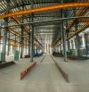 Cho thuê kho xưởng 3500m2 - 20.000m2 CCN Hoàng Gia, KCN Thái Hoà, Đức Hoà, Long An