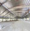 Cho thuê kho xưởng KCN Xuyên Á, Mỹ Hạnh Bắc, Đức Hòa, Long An 4000m2, 6000m2, 12.000m2