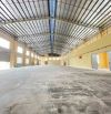 Bán nhà xưởng 5000m2 trong KCN Tân Tạo, Bình Tân