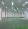 Cho thuê kho SIÊU VIP 2.200m² đường Phạm Văn Hai, P. 2, Quận Tân Bình