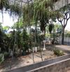 cho thuê đất mặt tiền đường Nguyễn Văn Linh giá rẻ
