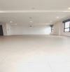 BÁN CĂN HỘ CHUNG CƯ KOSMO TÂY HỒ – 170M², TẦNG 31 – 21 TỶ - CĂN GÓC HOA HẬU – TẦNG CAO