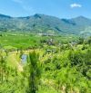 BÁN ĐẤT SƯỜN ĐỒI 1,6HA – YÊN XUÂN, HÒA LẠC – VỊ TRÍ ĐẮC ĐỊA ĐẦU TƯ SINH LỜI