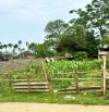 🌟 BÁN ĐẤT ĐẸP 150m² – YÊN BÌNH, THẠCH THẤT – ĐƯỜNG THÔNG OTO,  GIÁ CỰC HỢP LÝ
