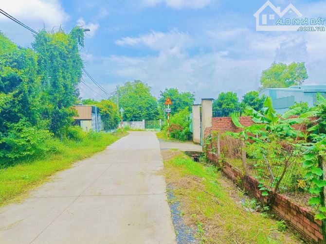 🔥Chủ bán hơn 4 Tỷ DT 1.126m2 thổ cư 300m2 đường xe Tải/ có vườn cây ăn trái xã Trung An