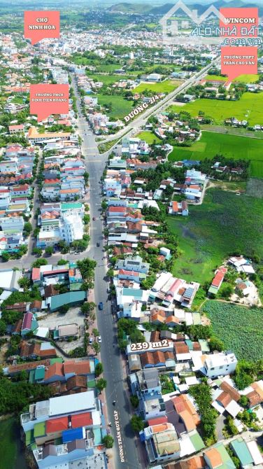 Bán đất mặt tiền, mặt đường Trần Quý Cáp, Ninh Hòa, Khánh Hòa. - 3
