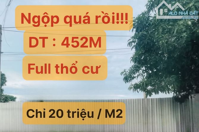 Bán Đất Gấp Mặt Tiền Hóc Môn - 452M2 (11 x 40 )- Đường 6M-  Chỉ 21,5 Triệu/ M2. - 3