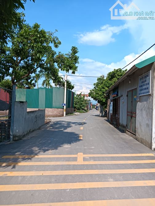 Hoa hậu rẻ đẹp nhất 👉 hồng vân -thường tín