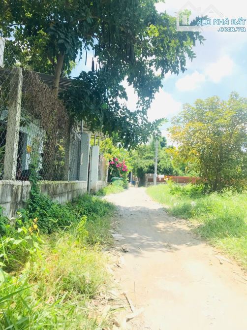 Cần bán đất mặt tiền đường đất 1/ Lê Thị Dệt sau lưng bệnhviện HuyệnCủ Chi 5x25 130m2 thổ