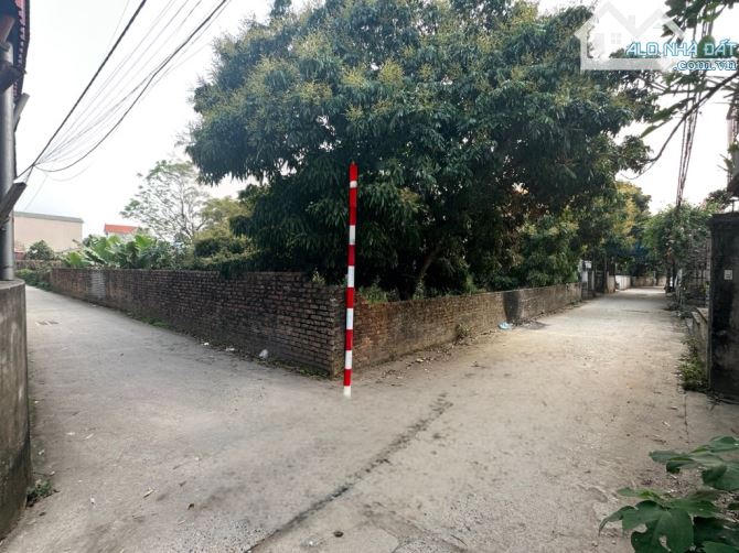 BÁN ĐẤT CỰ KHỐI - LÔ GÓC - NỞ HẬU - XÂY NHÀ VƯỜN CỰC ĐẸP.
