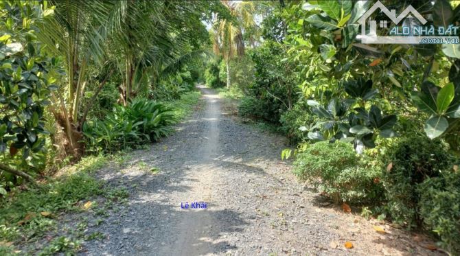 🔰 Bán đất lúa: 17.000m²(Mặt tiền 73m, nở hậu 120m) 🔰 Đường đá xe ba gác, xã Láng Biển cũ
