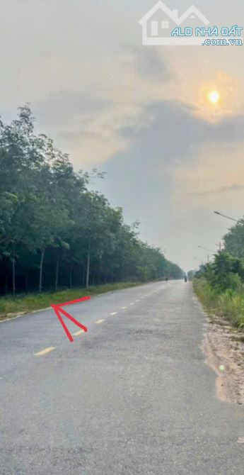 BÁN ĐẤT MT DT744, ĐỊNH THÀNH, DẦU TIẾNG, DT: 20x100, TC300M2, SHR, GIÁ 5,9 TỶ