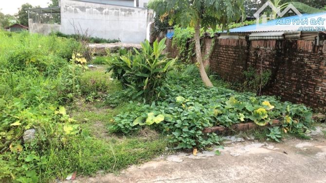 81m2 Dược thượng , Tiên Dược Sóc Sơn 3,05 tỷ