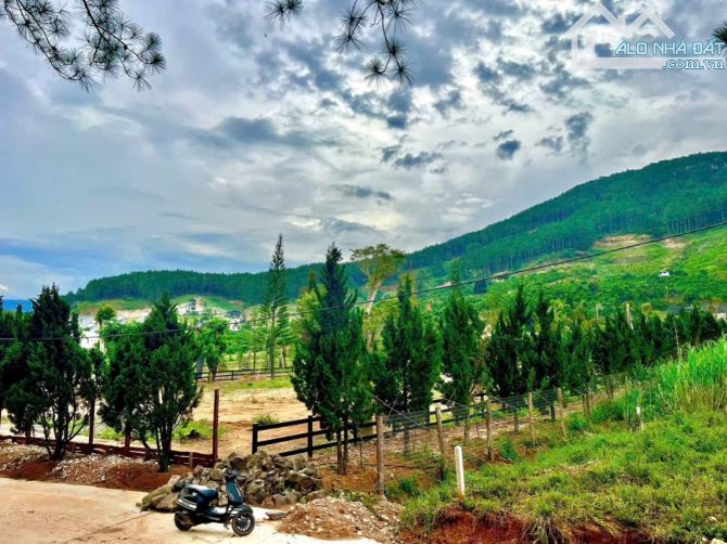 ĐẤT NGHỈ DƯỠNG GIÁP RỪNG THÔNG 15 TUỔI KHÓ TÌM ĐÂY - CÁCH ĐÀ LAT CÓ 15P - CÓ 242M2 THỔ CƯ