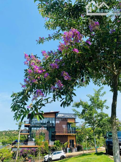 🏡 LÀNG ÔM – ĐẤT ĐẸP, GIÁ TỐT, SỔ RIÊNG TẠI BẢO LỘC 🏡