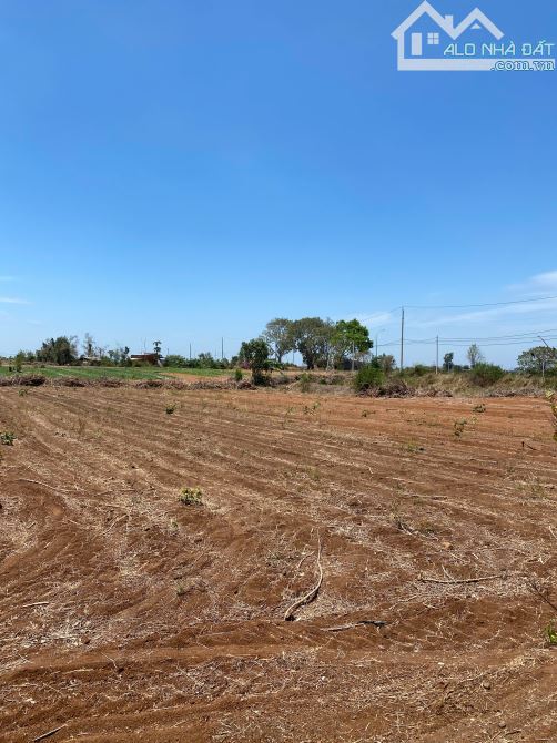 Cần bán 33.065m2 đất 2 mặt tiền hiếm hoi, sẵn 300m2 thổ cư, phủ hồng, giá đầu tư