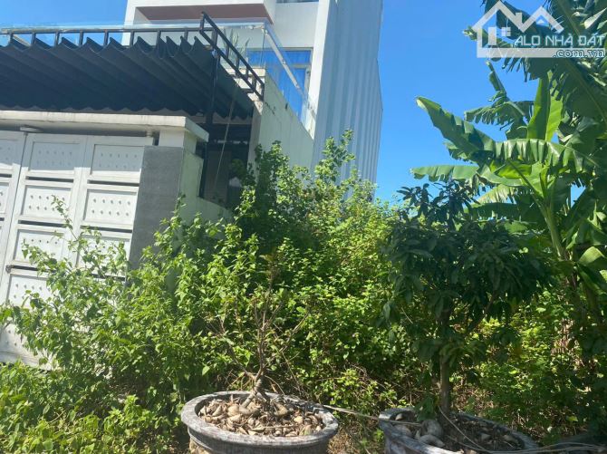 LÔ ĐẤT PHAN HUỲNH ĐIỂU – GẦN NGUYỄN PHƯỚC LAN – 122.5M² – SỔ VUÔNG VỨC – 6 TỶ