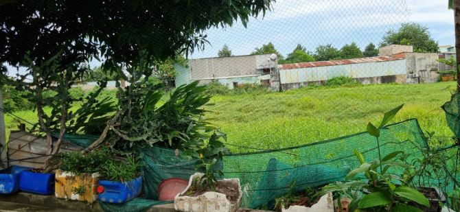Bà Điểm(XTT-HM) bán 2.227m2 phủ hồng ngang 30m cách đường Phan Văn Hớn chỉ 350m giá 11,5tỷ