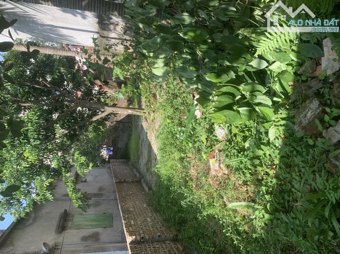 tài chính nhỏ có ngay mảnh đất mai lâm gần cầu đông trù, kết nối vin cổ loa, cầu tứ liên