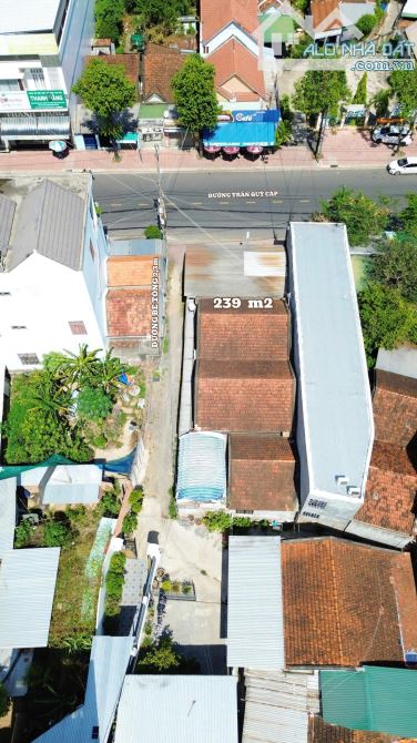Bán đất mặt tiền, mặt đường Trần Quý Cáp, Ninh Hòa, Khánh Hòa. - 4