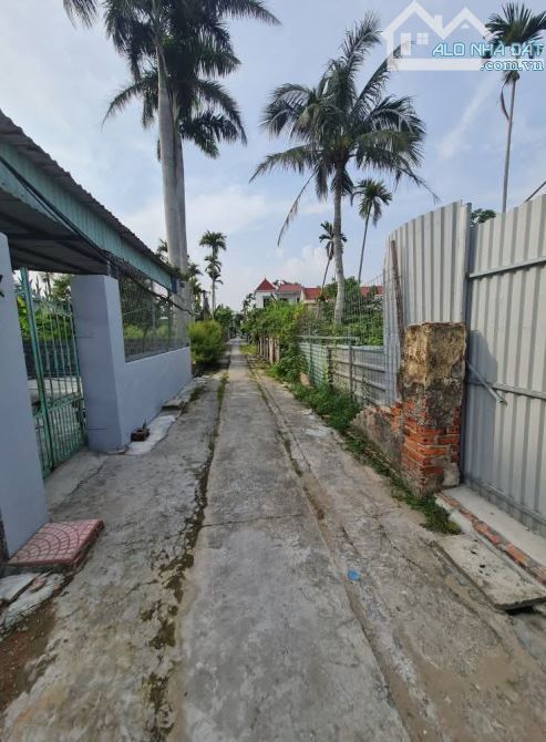 Bán lô đất 200m2 ngang 12m đường 5m TDP Ninh Hải, Anh Dũng, Dương Kinh, đối diện cánh diều - 1