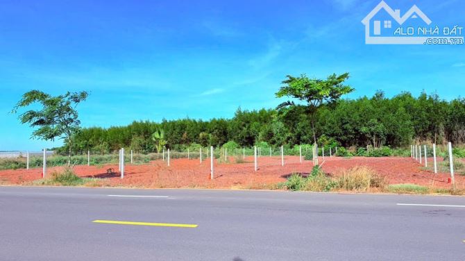 308m2 mặt tiền TL997- Đất Đỏ- gầN kCN Đất Đỏ - 1