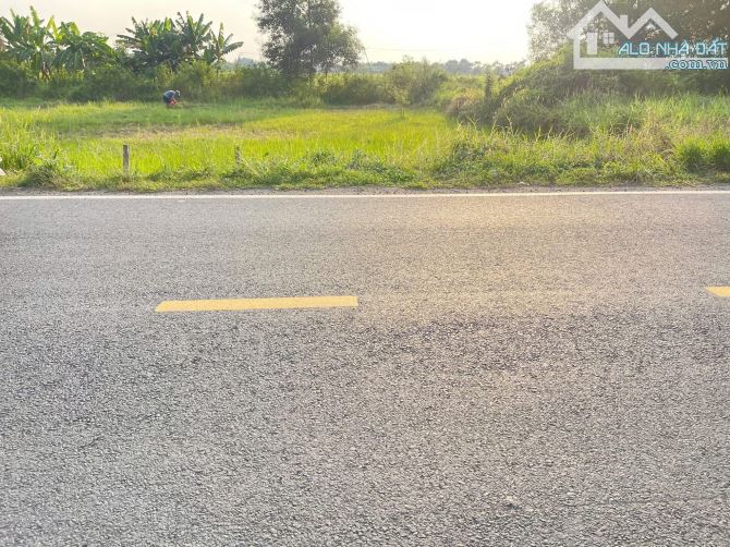 Cần bán đất mặt tiền đường Nguyễn Thị Rành xã Tân An Hội Củ Chi 10x40 385m2 thổ cư 302m2 - 1
