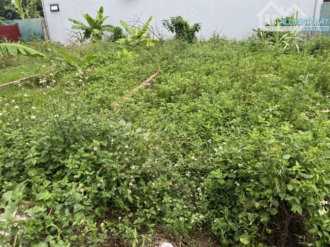 B. A. N hiếm đất Phù Lỗ ngay gần chợ sầm uất - ô tô 7 chỗ vào đất. Thông vòng quanh - 1
