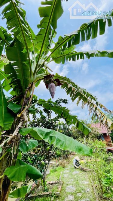 KHU NHÀ VƯỜN NGHỈ DƯỠNG RẤT ĐẸP TẠI MỸ KHÁNH CẦN THƠ - 1