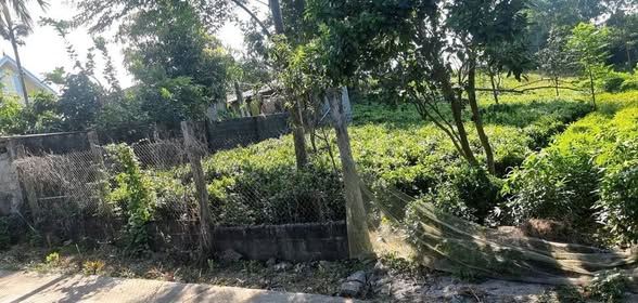 2,3 tỷ đất Ba Trại, 610m2 trong sổ cho thêm 300m2 ngoài sổ, view đẹp, đường 2 ô tránh - 1