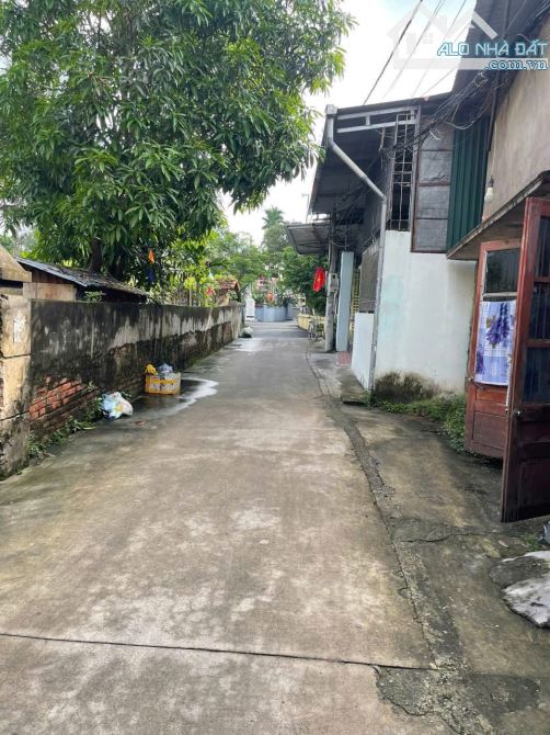 52m hồng vân -thường tín 🛻 đường ô tô giá hơn 2tỷ - 1