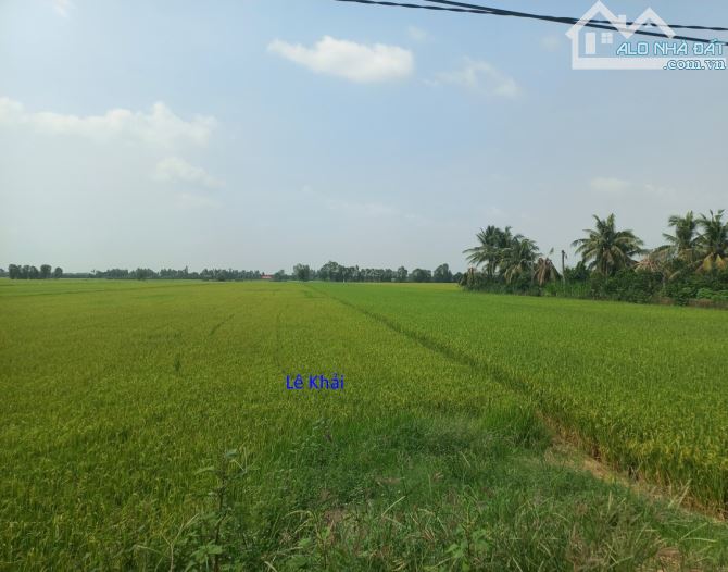 🔰 Bán đất lúa: 17.000m²(Mặt tiền 73m, nở hậu 120m) 🔰 Đường đá xe ba gác, xã Láng Biển cũ - 1