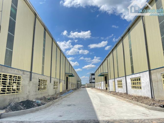 Cho thuê xưởng giá rẻ trong KCN Long Khánh, Đồng Nai 3000m2, 4600m2, 7600m2 - 1